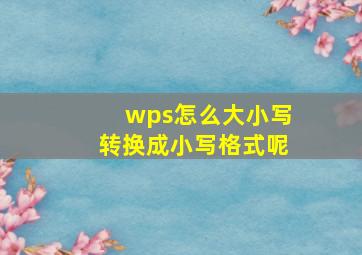 wps怎么大小写转换成小写格式呢