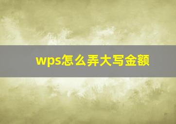 wps怎么弄大写金额