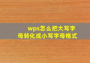 wps怎么把大写字母转化成小写字母格式