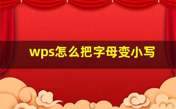 wps怎么把字母变小写