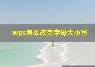 wps怎么改变字母大小写