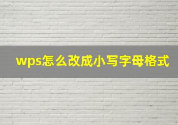 wps怎么改成小写字母格式