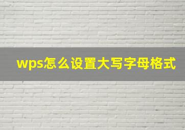 wps怎么设置大写字母格式