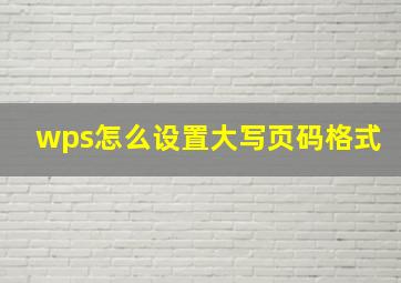 wps怎么设置大写页码格式