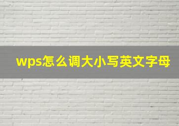 wps怎么调大小写英文字母