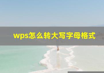 wps怎么转大写字母格式