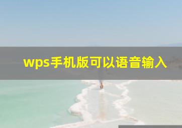 wps手机版可以语音输入