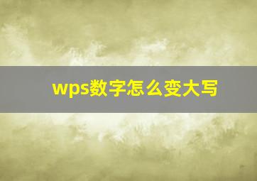 wps数字怎么变大写