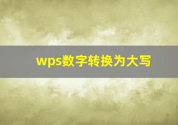 wps数字转换为大写