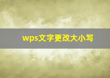 wps文字更改大小写