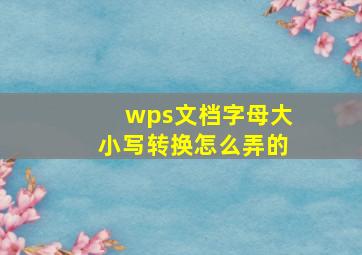 wps文档字母大小写转换怎么弄的