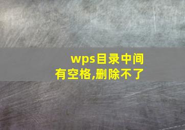 wps目录中间有空格,删除不了