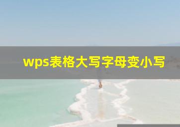 wps表格大写字母变小写