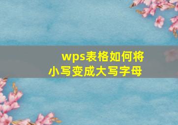 wps表格如何将小写变成大写字母