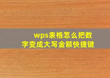 wps表格怎么把数字变成大写金额快捷键