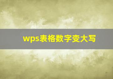 wps表格数字变大写