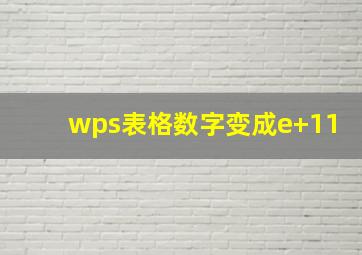 wps表格数字变成e+11