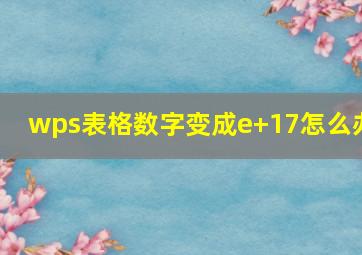 wps表格数字变成e+17怎么办