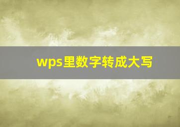 wps里数字转成大写