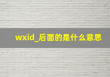 wxid_后面的是什么意思