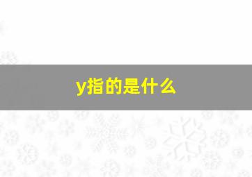 y指的是什么