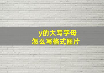 y的大写字母怎么写格式图片