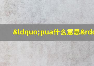 “pua什么意思”