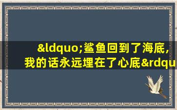 “鲨鱼回到了海底,我的话永远埋在了心底”