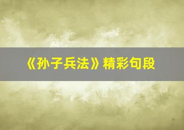 《孙子兵法》精彩句段