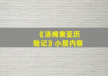 《汤姆索亚历险记》小报内容