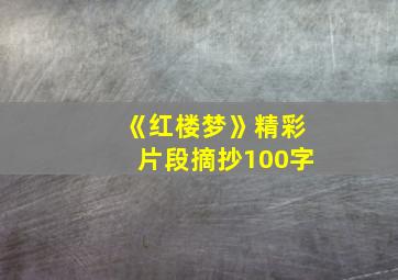 《红楼梦》精彩片段摘抄100字