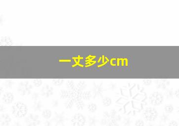 一丈多少cm