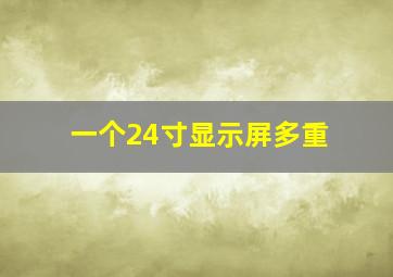 一个24寸显示屏多重