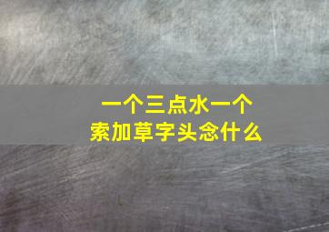 一个三点水一个索加草字头念什么