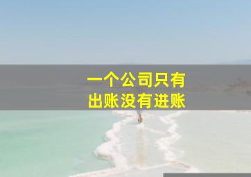 一个公司只有出账没有进账