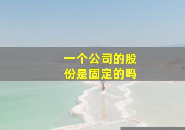 一个公司的股份是固定的吗