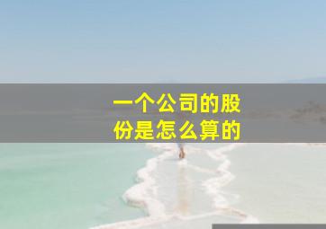 一个公司的股份是怎么算的