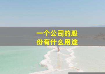 一个公司的股份有什么用途