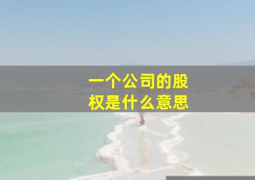 一个公司的股权是什么意思