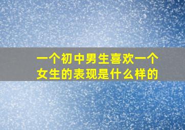 一个初中男生喜欢一个女生的表现是什么样的