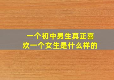 一个初中男生真正喜欢一个女生是什么样的