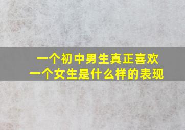 一个初中男生真正喜欢一个女生是什么样的表现