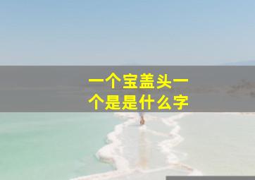 一个宝盖头一个是是什么字