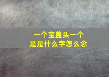 一个宝盖头一个是是什么字怎么念