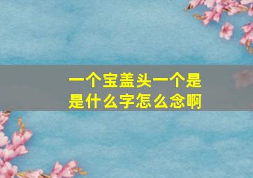 一个宝盖头一个是是什么字怎么念啊