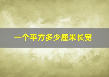 一个平方多少厘米长宽