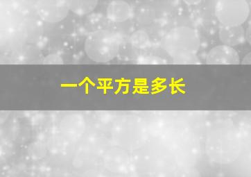 一个平方是多长