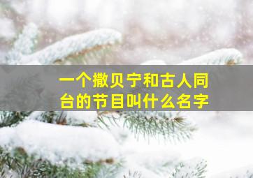 一个撒贝宁和古人同台的节目叫什么名字