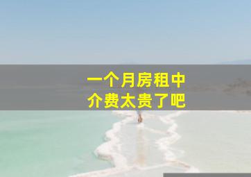 一个月房租中介费太贵了吧