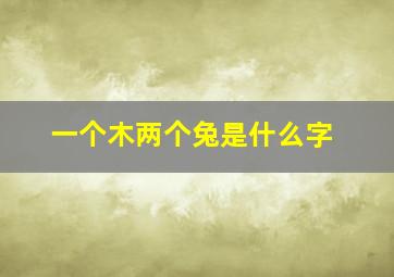 一个木两个兔是什么字